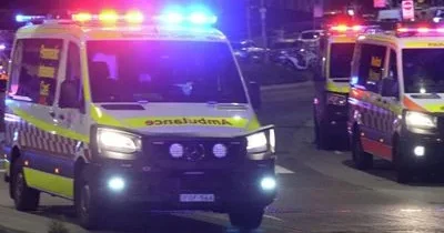 Müsəlman qəbiristanlığına donuz başı ATILIB