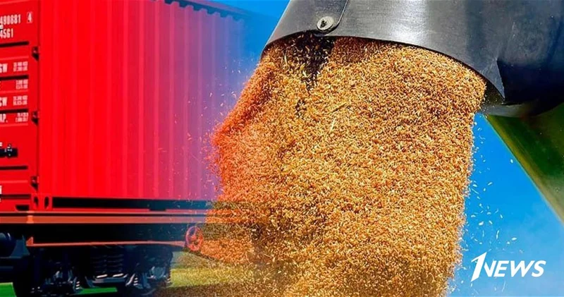 В Армении ждут новые партии зерновых по ж/д из Азербайджана и Грузии