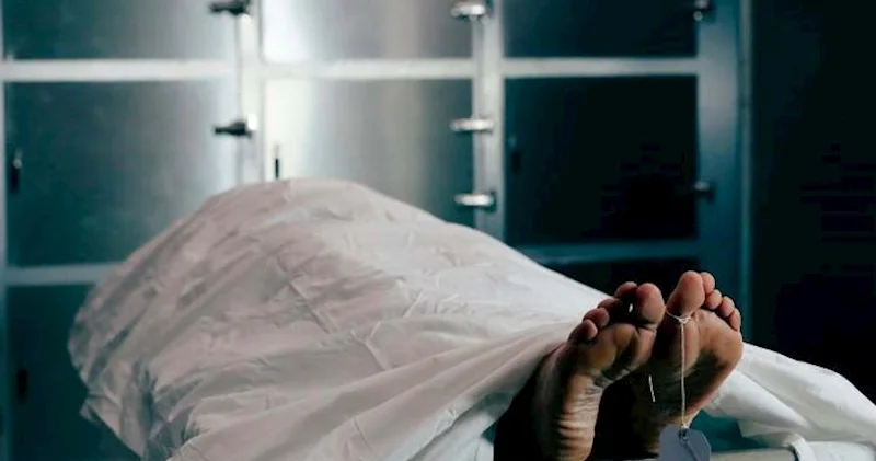 Gəlin qardaşı ilə əlbir olub 70 yaşlı qadını qətlə yetirib