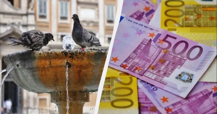 Göyərçinləri yemləməyin qadağan olunduğu ölkələr və cərimələr