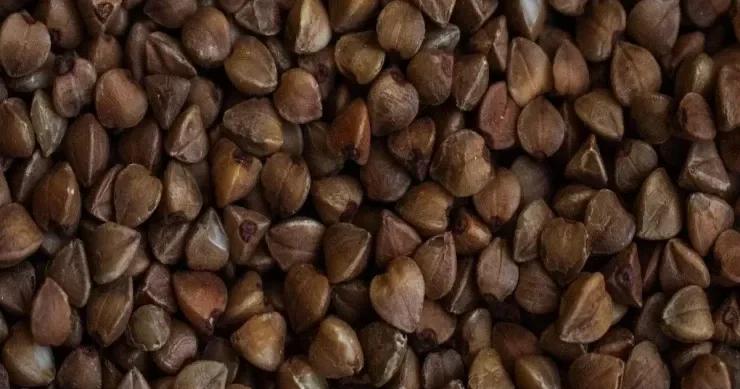 Müntəzəm olaraq qarabaşaq yemək orqanizmdə nə yaradır?