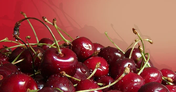 Albalının bilmədiyimiz faydaları FOTO