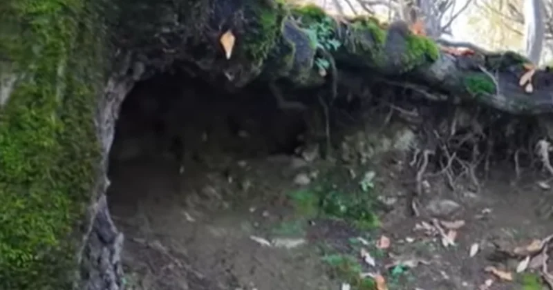 Lənkəranda Babəkin müdafiə qalası: Bəlləbur kəndindən GÖRÜNTÜLƏR VİDEO