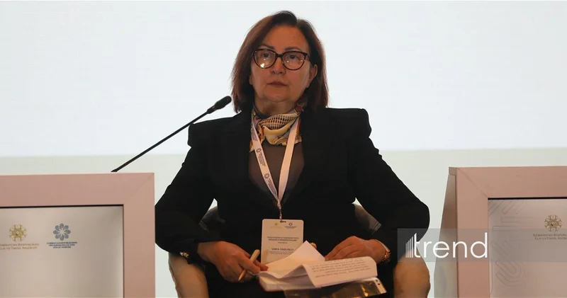 Религиозное мышление должны нести в народ социологи религиоведы, а не муллы Вафа Ягублу