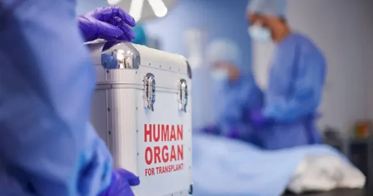 Orqan köçürülməsi ilə bitmir transplantasiyadan sonrakı həyat MÜSAHİBƏ