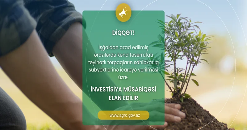 Azad edilmiş ərazilərdəki torpaqlarla bağlı 2 ci investisiya müsabiqəsinə başlanılır