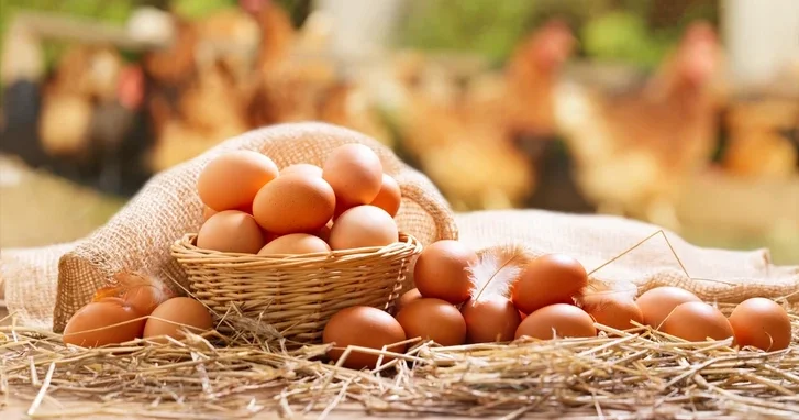 В Азербайджане яйца подорожали на 5 7 гяпиков за несколько дней