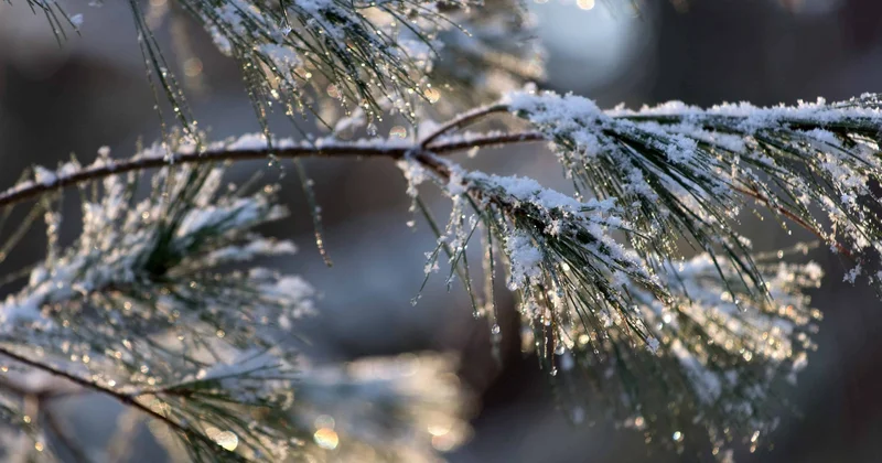 Обнародовано время прихода зимы в Азербайджан