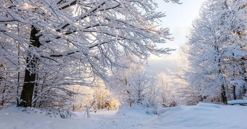 Qış fəsli Azərbaycana dekabrın 21 i saat 19:03:01 də daxil olacaq
