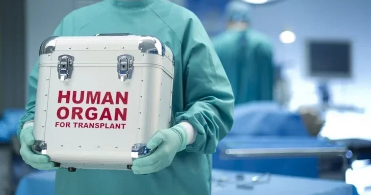 Итоги года в TƏBİB: больше операций по катаракте, эндопротезированию и трансплантациям