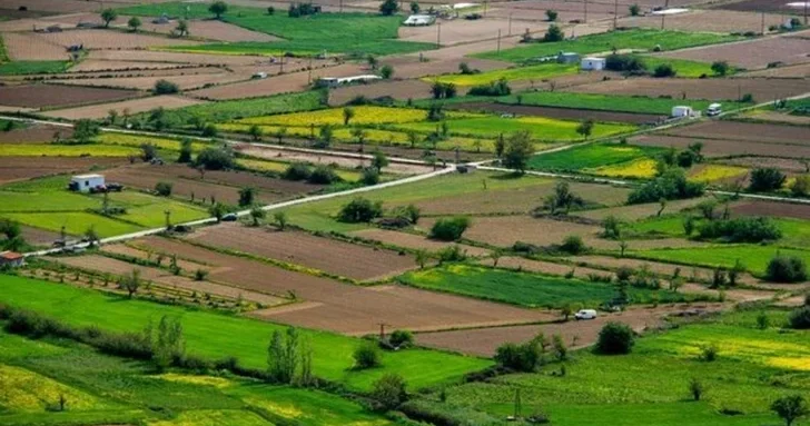 В Азербайджане стартуют земельные конкурсы