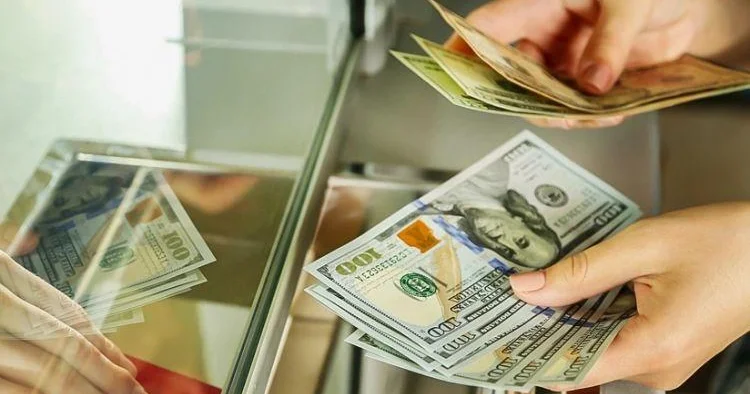 Ən çox Rusiyadan gəlib, Türkiyəyə gedib... 9 ayda ölkəyə nə qədər pul daxil olub?