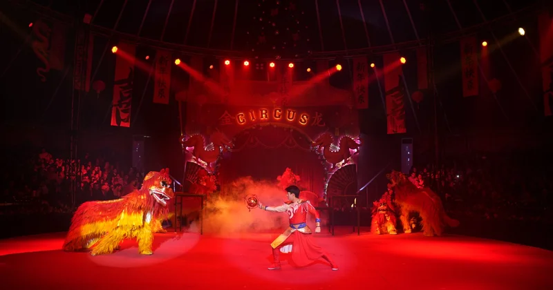 Китайский цирк в Баку бьет рекорды уже продано 20 000 билетов (ВИДЕО, ФОТО)