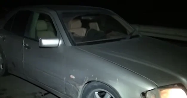 Осёл на магистрали: как животное стало причиной цепной аварии на трассе Баку Газах