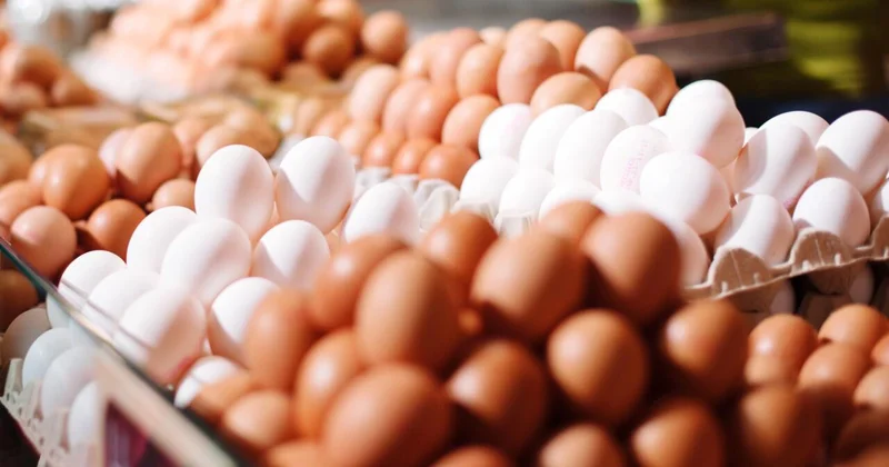 Yumurta kəskin bahalaşdı Səbəb nədir? AÇIQLAMA
