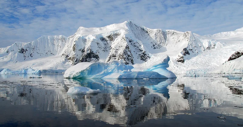 У берегов Антарктиды обнаружили шар смерти