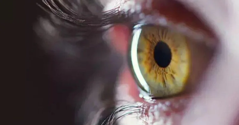 Görmə qabiliyyətini bərpa etmək üçün yeni üsul tapıldı