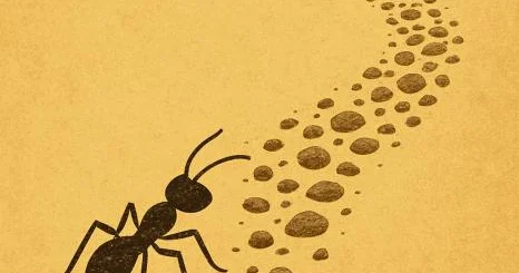 Qarışqa yolu... Kiçik addımların böyük nəticələri