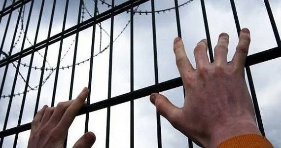 Amnistiyaya kimlər daha çox düşür?