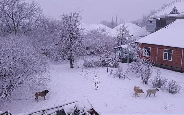 Bəzi rayonlara qar yağır