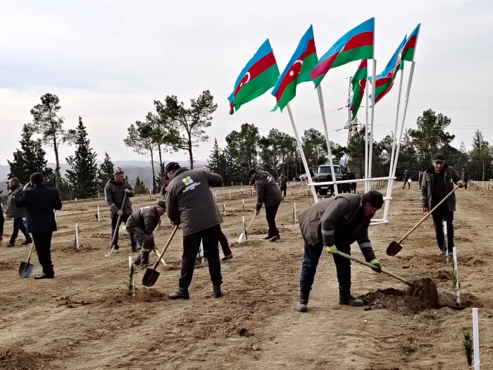 Bu gün Ağstafa və Tovuz rayonlarının meşə sahələrində 4