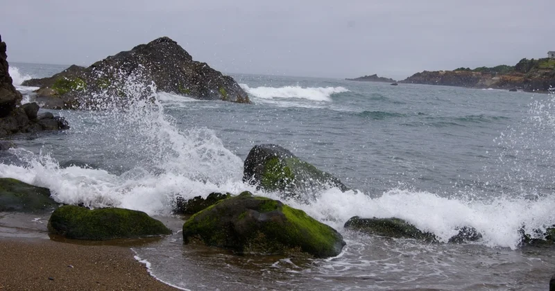 ABŞ nin qərb sahillərində güclü zəlzələ baş verib