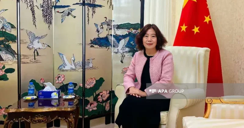 Лу Мэй: Азербайджан был одним из первых, кто поддержал инициативу Один пояс, один путь