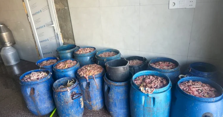 Novxanıda ət skandalı: Kəsim məntəqəsində dəhşətli mənzərə üzə çıxdı