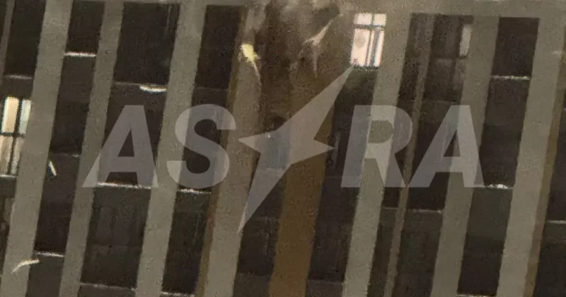 ASTRA: Дрон ВСУ врезался в жилую многоэтажку в Рязани ФОТО / ВИДЕО