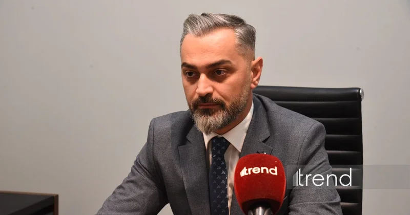 Албания приветствует создание совместных предприятий c азербайджанскими компаниями посол