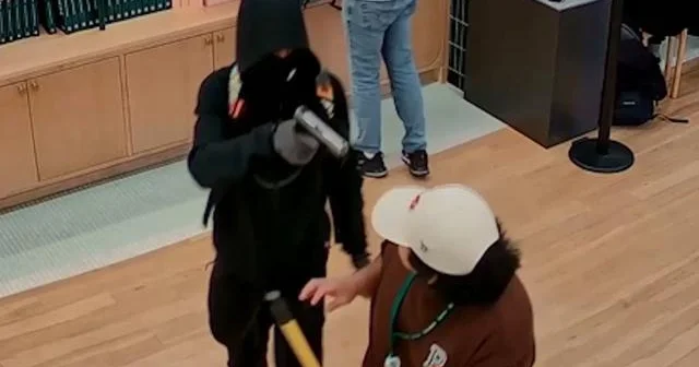 Nyu Yorkda Pokemon mağazasından 100 min dollarlıq oğurluq edilib