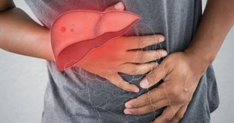 ABŞ da xəstələr üçün hipoimmun 3D çaplı qaraciyər hazırlanır İXTİRA