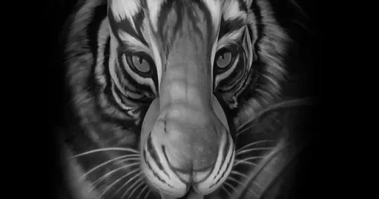 Şəkilə baxın, əslində kim olduğunuzu öyrənin Şəxsiyyət TESTİ