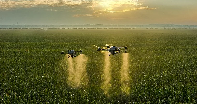 Texnologiyalaşma kənd təsərrüfatının əsas çıxış yoludur İQTİSADÇI DANIŞDI