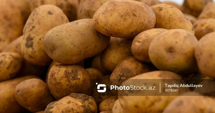 Импорт картофеля в Азербайджан: что стоит за спорами о его качестве