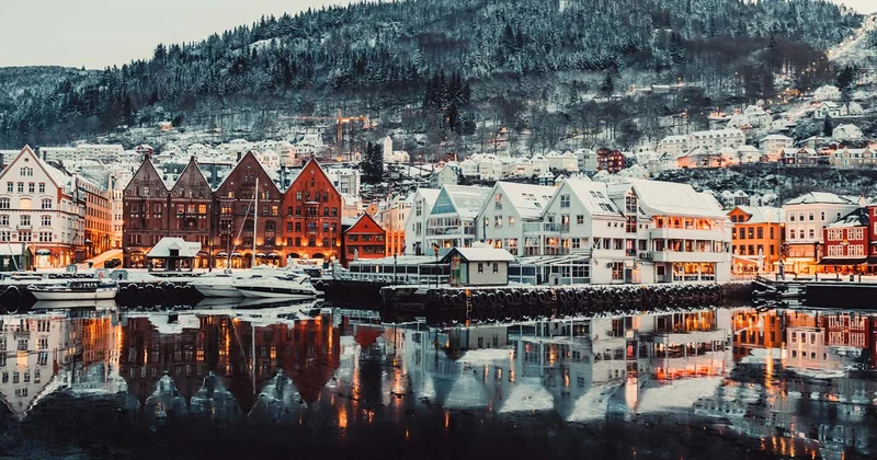 Skandinavlar niyə vitaminləri apteklərdən almır