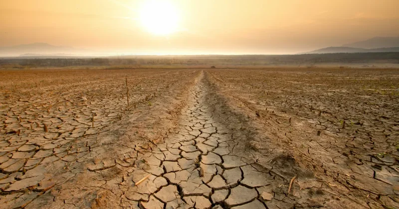 Беларусь ожидают восемь лет сильной засухи