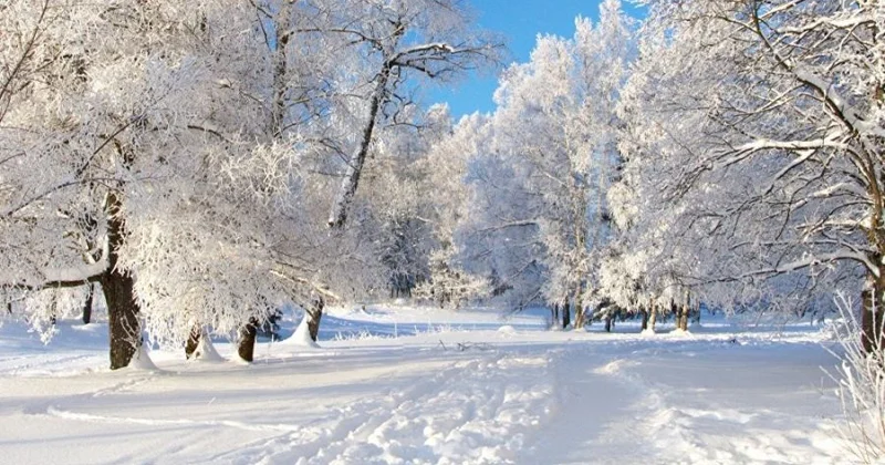 Qar yağacaq, 20° şaxta olacaq