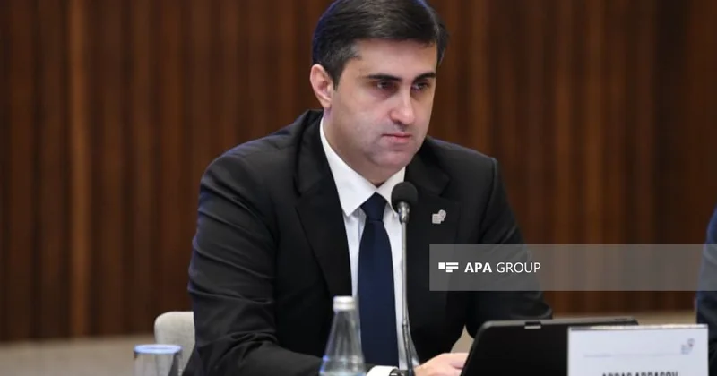 Аббасов: Вопрос дискриминации меньшинств в Индии будет вынесен в ООН