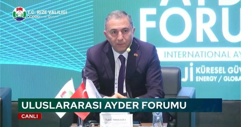 Enerji artıq sadəcə bir əmtəə deyil Komitə sədri