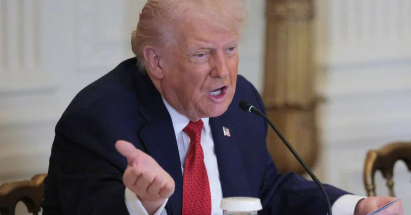 Король пошлин : Трамп пригрозил странам, мешающим планам по Гренландии