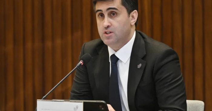 Afrikalılara dair hesabat BMT yə təqdim edilib