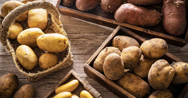 Технический картофель попадает на стол азербайджанцев? мнение эксперта