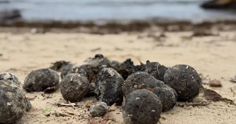 Австралия выделит три миллиарда долларов на борьбу с загадочными шарами