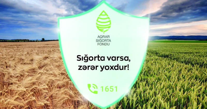 Aqrar sığorta fermerləri ziyandan qoruyur