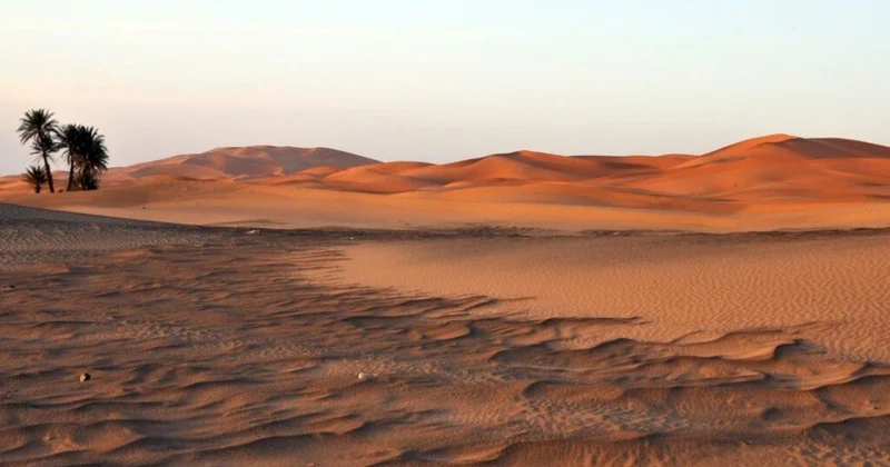 Elm dünyası şokdadır! Onların hamısı səhradakı bir mağaranın içindən çıxarıldı