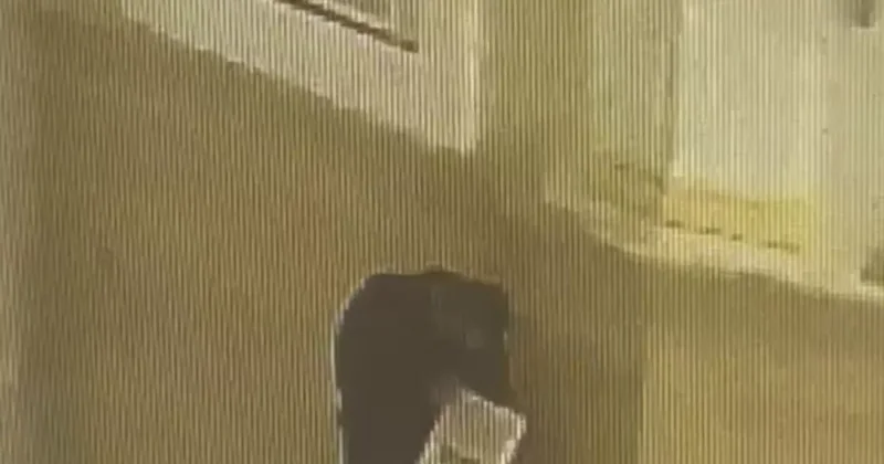 Хотел постричься: россиянин украл пожертвования из храма