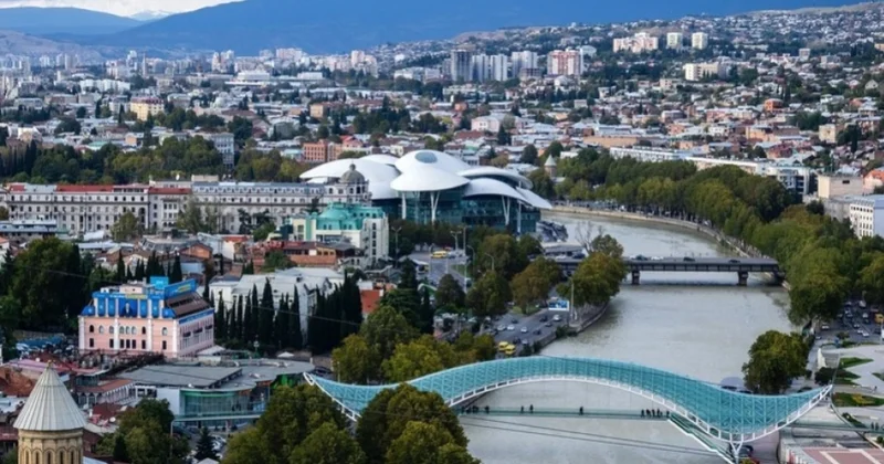 Gürcüstanda radikal millətçi qruplaşmanın 16 üzvü həbs edilib