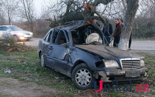 Yoldan çıxan maşın qoz ağacına çırpıldı Ölən və yaralanan var