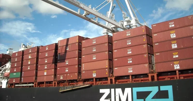 Правительство Израиля выразило обеспокоенность продажей ZIM